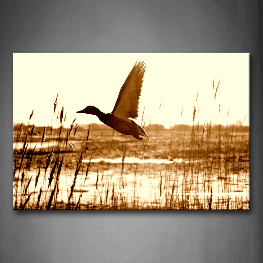 Brown Duck Fly Upon River Wall Art Painting Pictures Print On Canvas Animal The Picture For Home Modern Decoration 