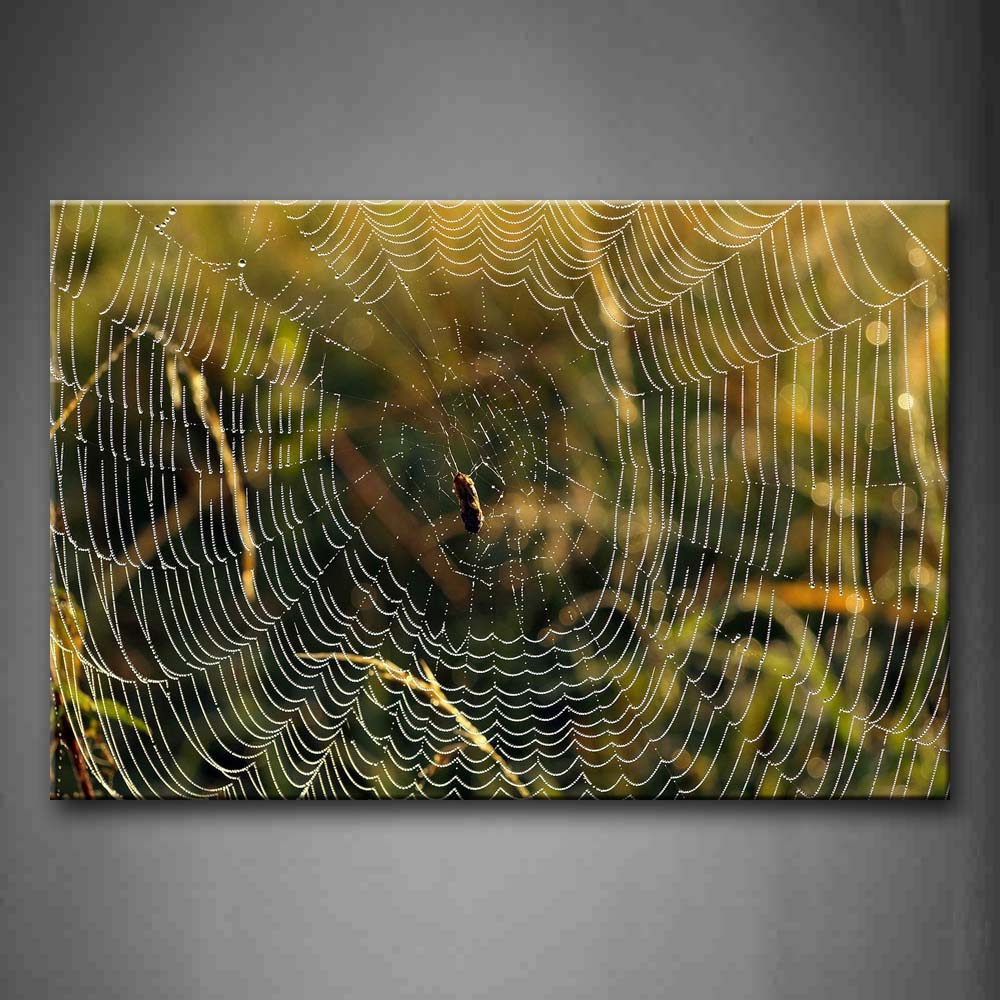 Spider Is Spinning A Big Web  Wall Art Painting Pictures Print On Canvas Animal The Picture For Home Modern Decoration 