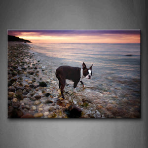 Black Dog Walk On Sea Side  Wall Art Painting The Picture Print On Canvas Animal Pictures For Home Decor Decoration Gift 