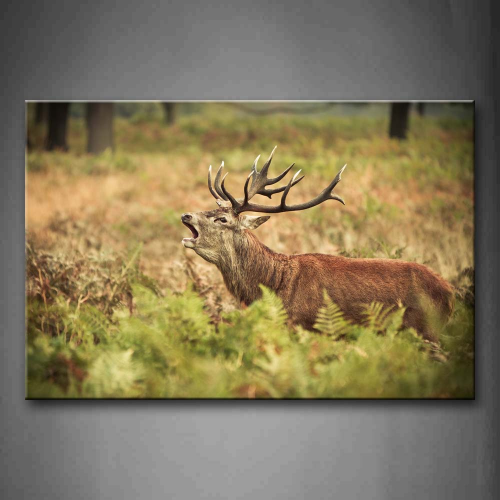 Elk Stand In Grass Open Mouth Wall Art Painting Pictures Print On Canvas Animal The Picture For Home Modern Decoration 