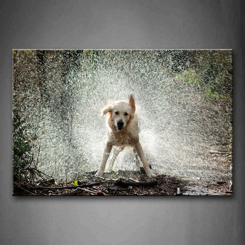 White Dog Stand On Ground With Spray Wall Art Painting The Picture Print On Canvas Animal Pictures For Home Decor Decoration Gift 