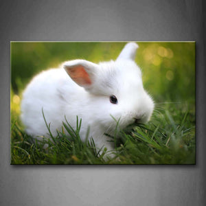 White Rabbit Eat Grass Wall Art Painting The Picture Print On Canvas Animal Pictures For Home Decor Decoration Gift 