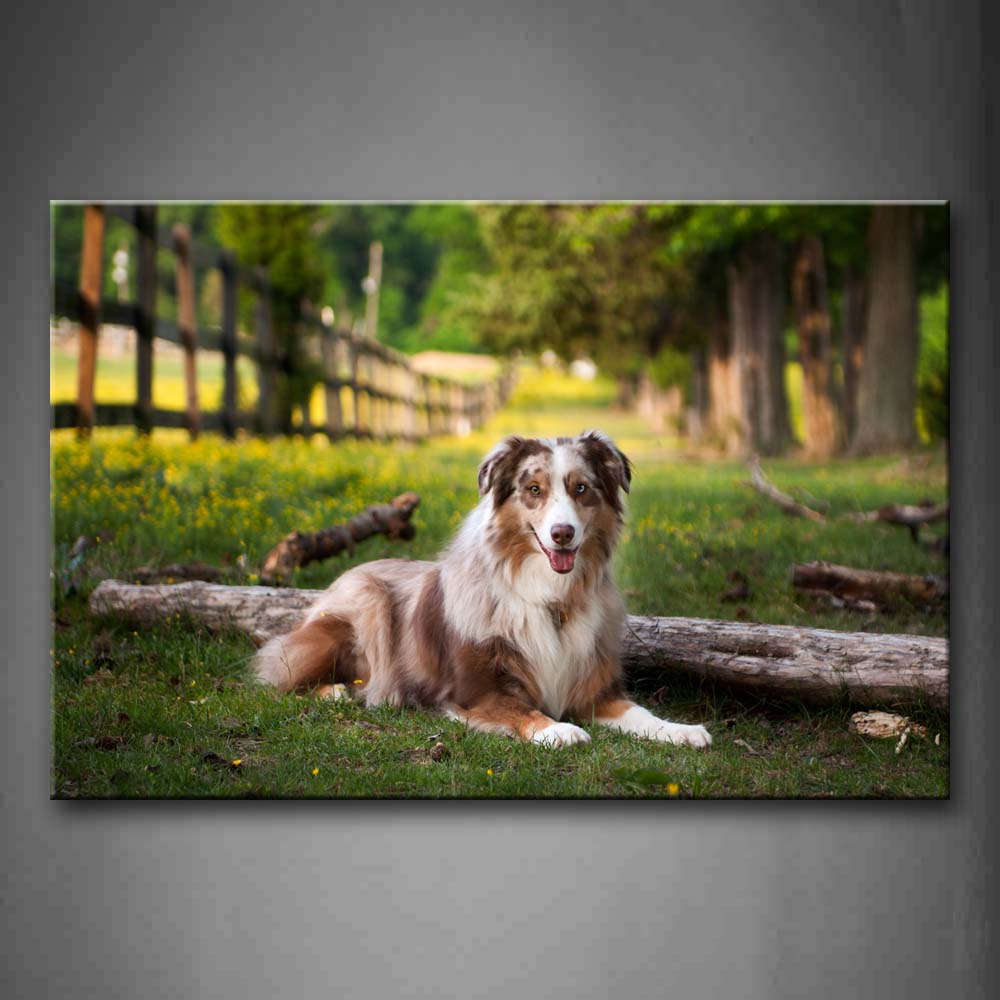 Dog Sit Beside Dry Wood On Lawn Wall Art Painting Pictures Print On Canvas Animal The Picture For Home Modern Decoration 