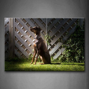 Brown Dog Sit On Lawn Wall Art Painting The Picture Print On Canvas Animal Pictures For Home Decor Decoration Gift 