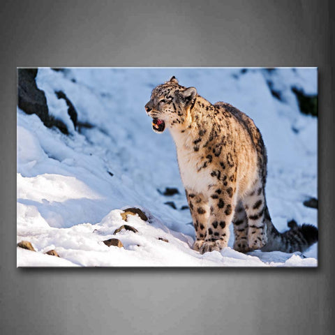 Snow Leopard Stand On Snowfield Wall Art Painting The Picture Print On Canvas Animal Pictures For Home Decor Decoration Gift 