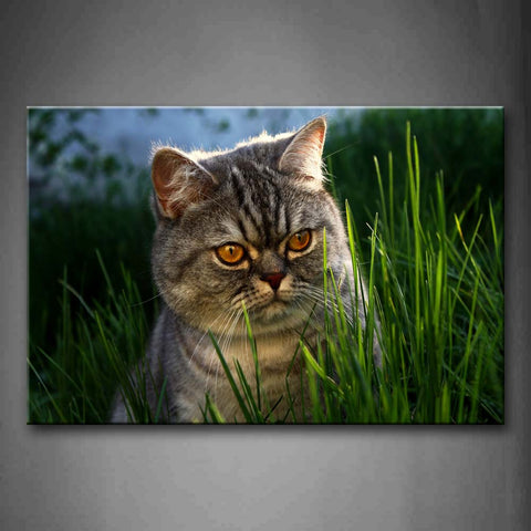 Gray Cat Sit Among High Grass Wall Art Painting Pictures Print On Canvas Animal The Picture For Home Modern Decoration 