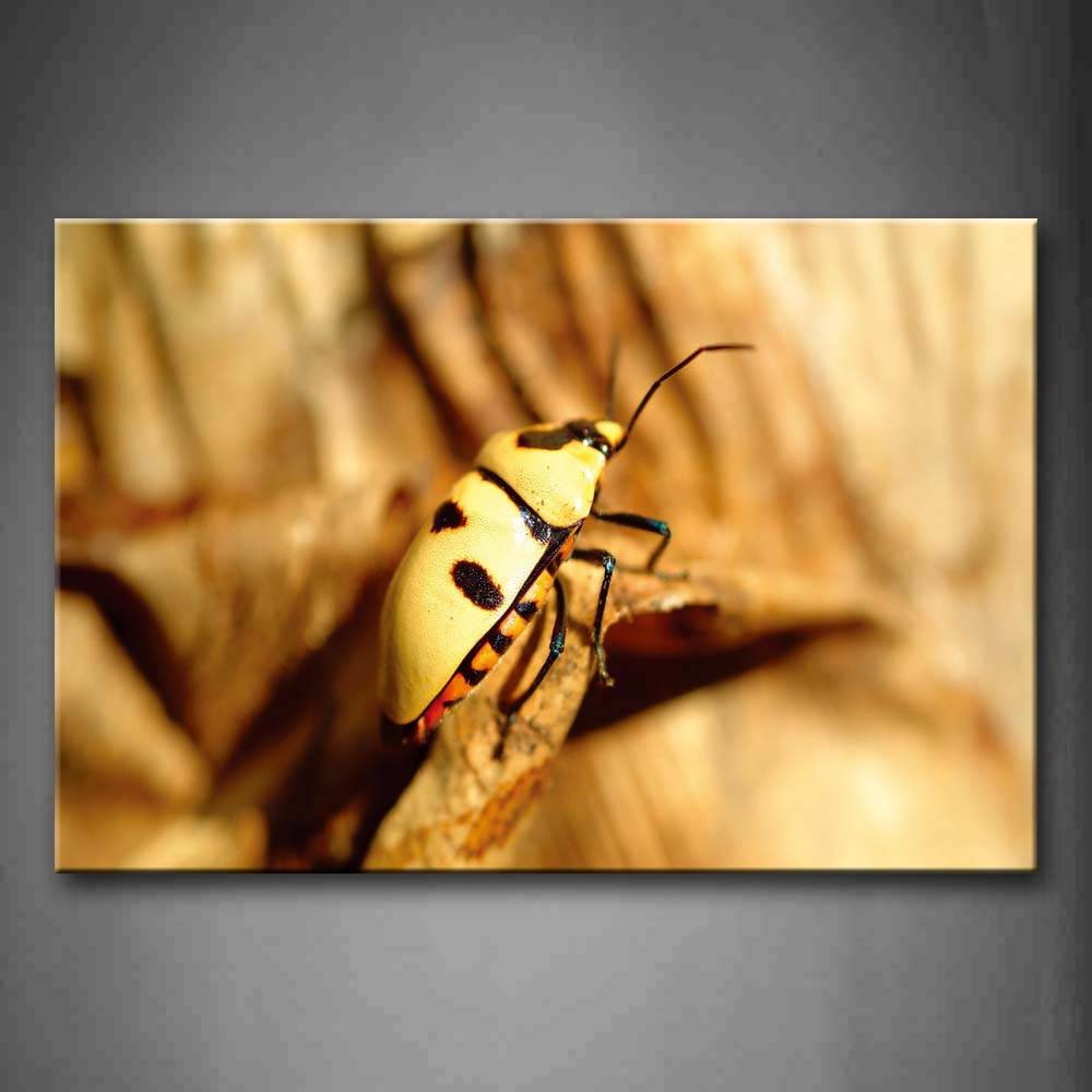 Brown Yellow Insect Stay On Dry Leaf Wall Art Painting The Picture Print On Canvas Animal Pictures For Home Decor Decoration Gift 