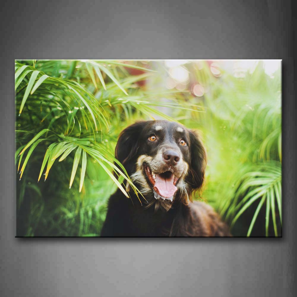 Black Dog Stay Among Grass With Mouth Open Wall Art Painting Pictures Print On Canvas Animal The Picture For Home Modern Decoration 