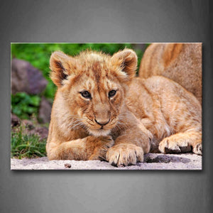 Lion Lie On Stone Ground  Wall Art Painting The Picture Print On Canvas Animal Pictures For Home Decor Decoration Gift 