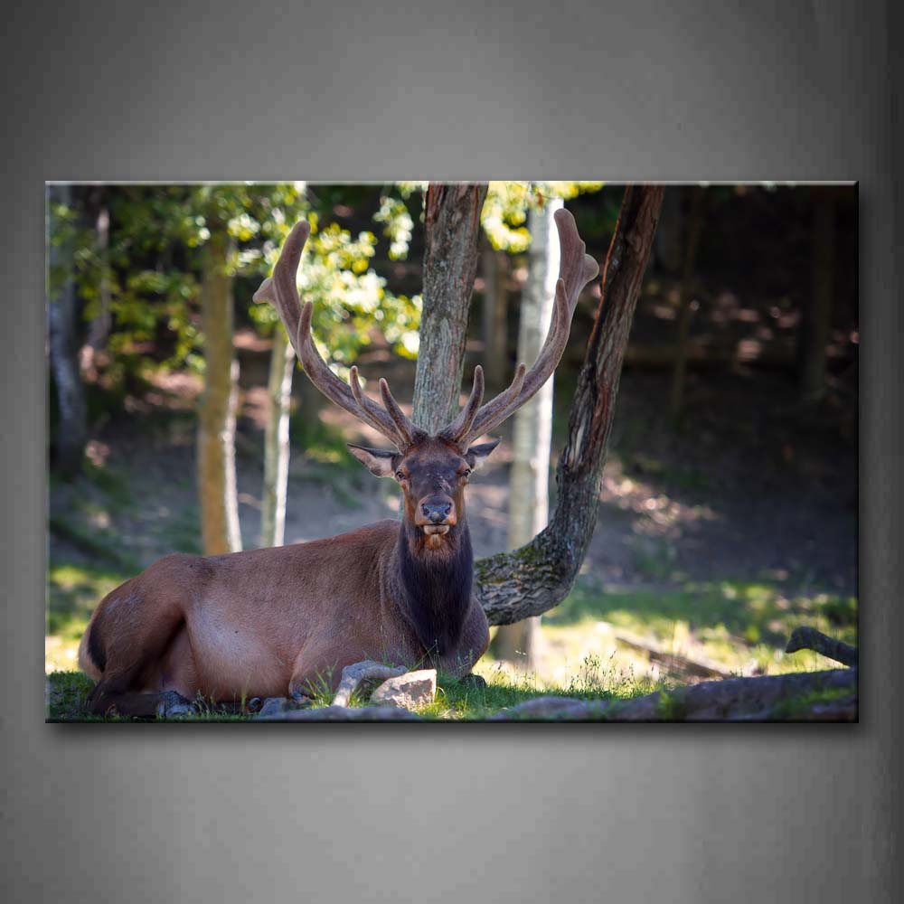 Deer Lie Under The Tree Wall Art Painting Pictures Print On Canvas Animal The Picture For Home Modern Decoration 