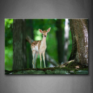 Little Deer Stand Under The Tree Wall Art Painting The Picture Print On Canvas Animal Pictures For Home Decor Decoration Gift 