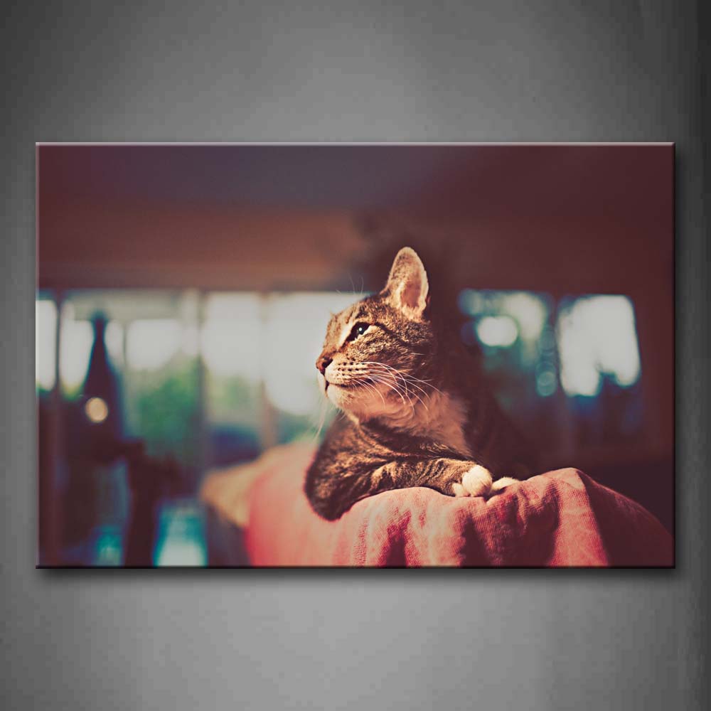 Cat Sit On Red Sofa Wall Art Painting The Picture Print On Canvas Animal Pictures For Home Decor Decoration Gift 