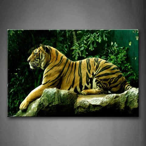 Big Tiger Sit On Stone Near Tree Wall Art Painting The Picture Print On Canvas Animal Pictures For Home Decor Decoration Gift 