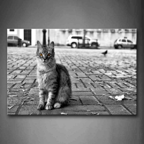 Black And White Little Bird Stand Near A Cat On Road Wall Art Painting Pictures Print On Canvas Animal The Picture For Home Modern Decoration 