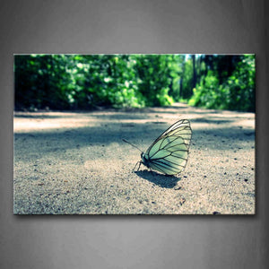 Butterfly Stay On Ground Near Trees Wall Art Painting The Picture Print On Canvas Animal Pictures For Home Decor Decoration Gift 