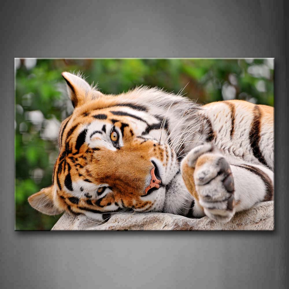 Tiger Lie On Stone  Wall Art Painting The Picture Print On Canvas Animal Pictures For Home Decor Decoration Gift 