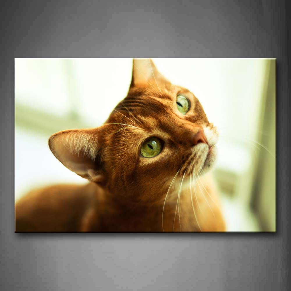 Yellow Cat With Green Eyes Wall Art Painting The Picture Print On Canvas Animal Pictures For Home Decor Decoration Gift 