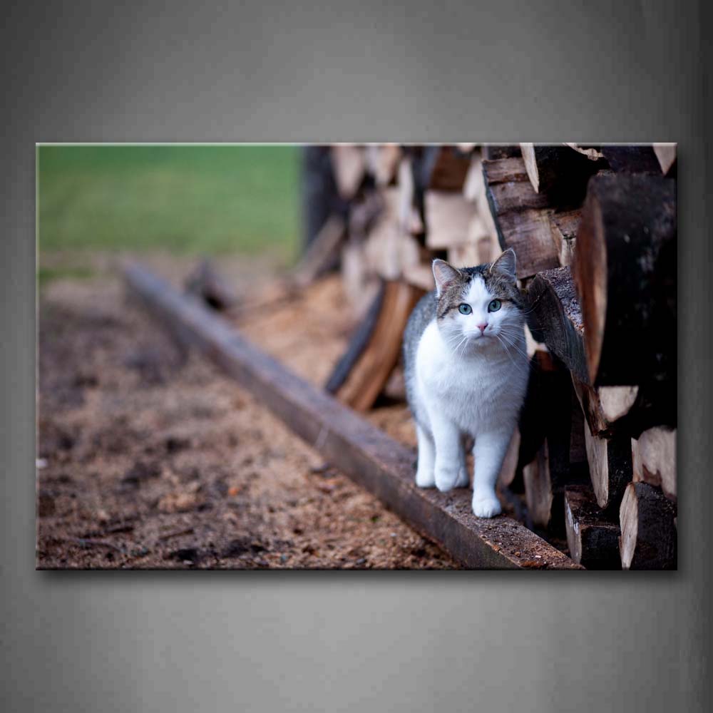 Cat Walk On Wood  Wall Art Painting The Picture Print On Canvas Animal Pictures For Home Decor Decoration Gift 