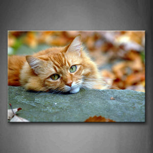 Yellow Cat Lie On Stone Fallen Leaves Wall Art Painting Pictures Print On Canvas Animal The Picture For Home Modern Decoration 