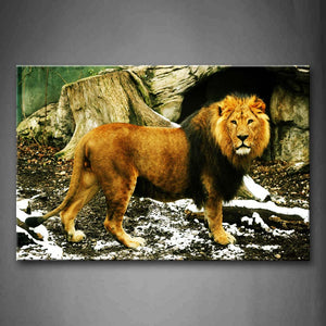 Lion Stand On Soil Land Near Wood Wall Art Painting Pictures Print On Canvas Animal The Picture For Home Modern Decoration 