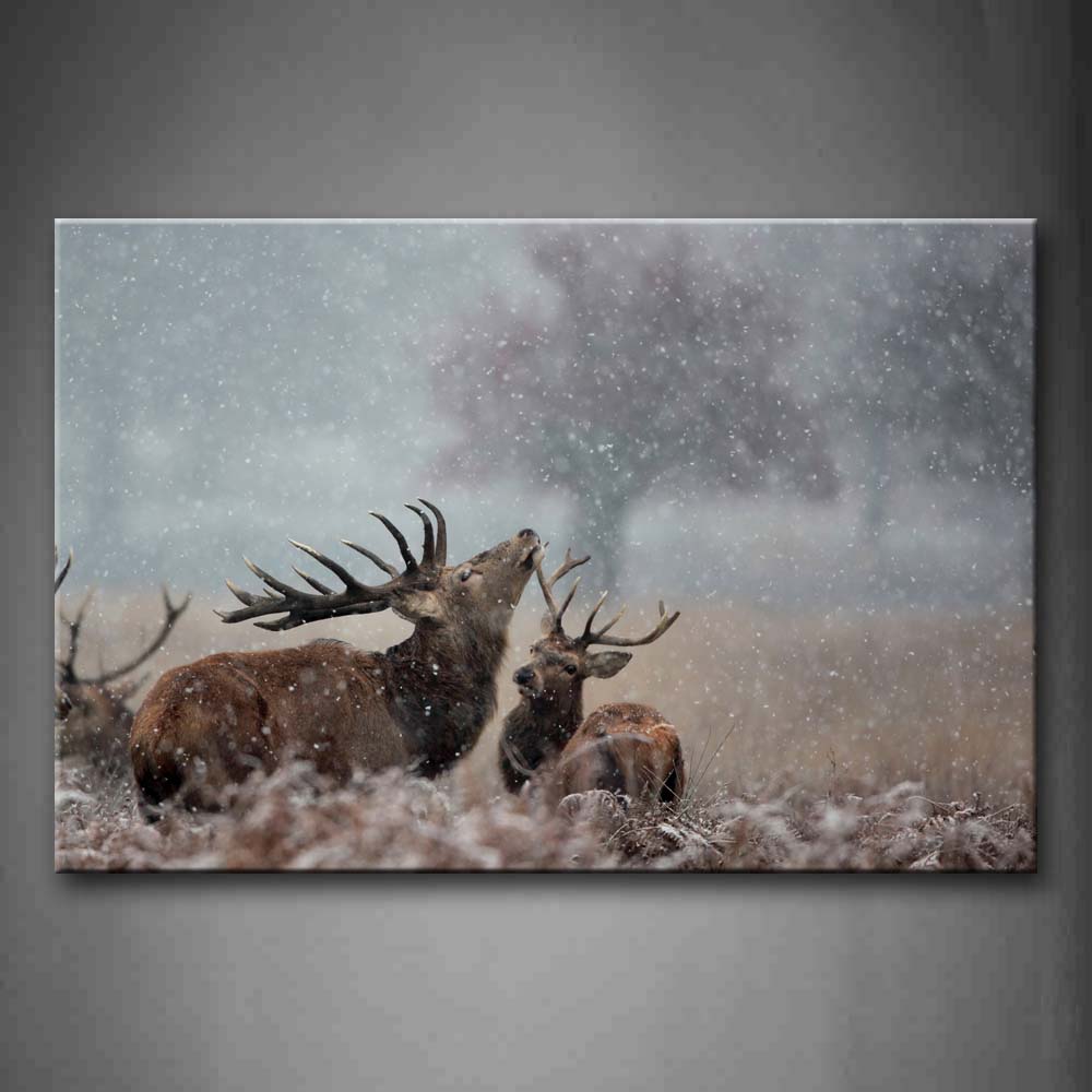 Two Deers Lie On Grass When Snowing Wall Art Painting Pictures Print On Canvas Animal The Picture For Home Modern Decoration 