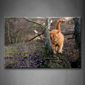 Yellow Cat Walk On Dry Tree Wall Art Painting Pictures Print On Canvas Animal The Picture For Home Modern Decoration 