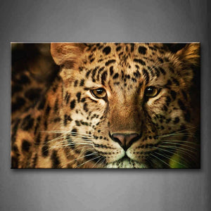 Leopard Head  Wall Art Painting Pictures Print On Canvas Animal The Picture For Home Modern Decoration 