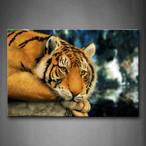 Tiger Lie On Stone  Wall Art Painting Pictures Print On Canvas Animal The Picture For Home Modern Decoration 