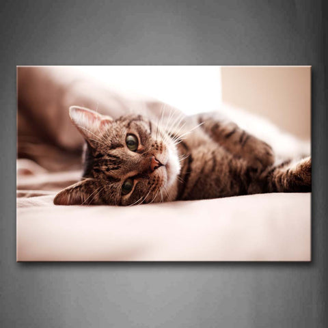 Cat Lie On Bed Wall Art Painting The Picture Print On Canvas Animal Pictures For Home Decor Decoration Gift 