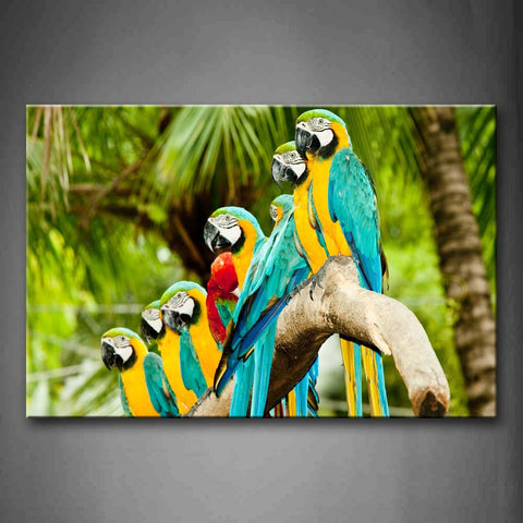 Beautiful Macaw Stand On Branch  Wall Art Painting Pictures Print On Canvas Animal The Picture For Home Modern Decoration 