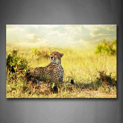 Cheetah Lie On High Grass  Wall Art Painting Pictures Print On Canvas Animal The Picture For Home Modern Decoration 