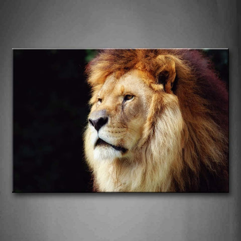 Big Lion At Black Background Wall Art Painting Pictures Print On Canvas Animal The Picture For Home Modern Decoration 