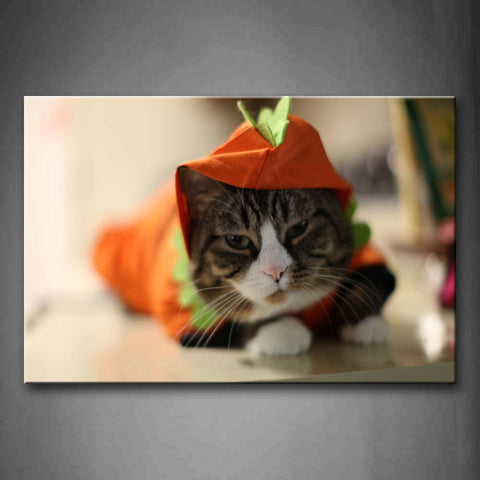 Cat Wear Orange Cloth Lie On Ground Wall Art Painting The Picture Print On Canvas Animal Pictures For Home Decor Decoration Gift 