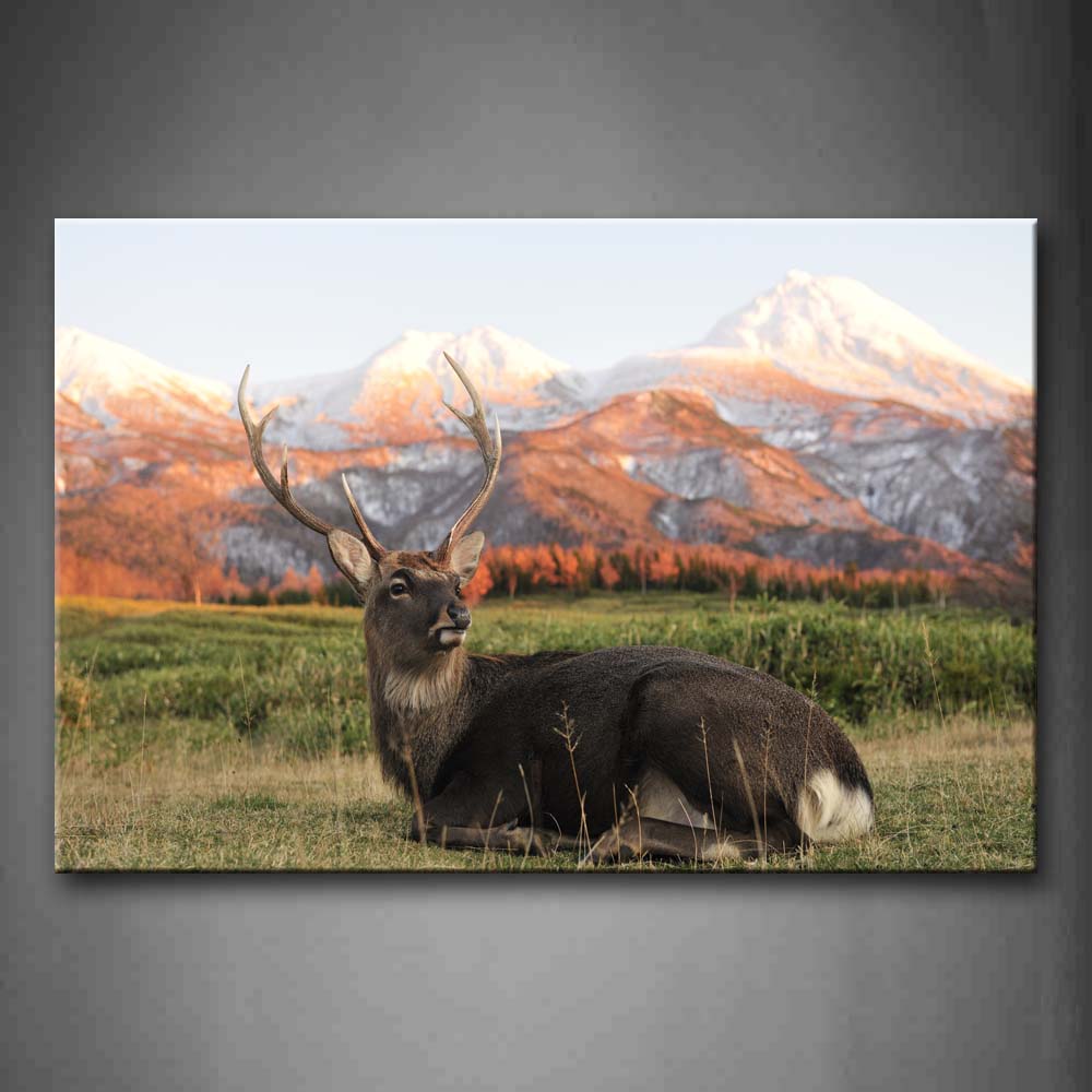 Black Elk Lie On Lawn Near Mountain Wall Art Painting The Picture Print On Canvas Animal Pictures For Home Decor Decoration Gift 