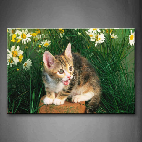 Cute Cat Sit On Stone In Grass And Flowers Wall Art Painting The Picture Print On Canvas Animal Pictures For Home Decor Decoration Gift 