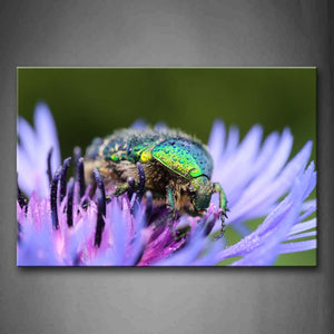 Green Beetle Stay On Purple Flower Wall Art Painting The Picture Print On Canvas Animal Pictures For Home Decor Decoration Gift 