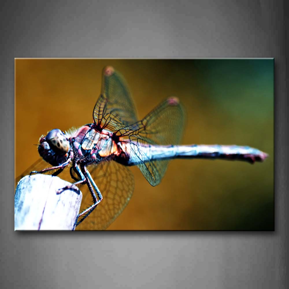 Dragonfly Stay On Wood Wall Art Painting The Picture Print On Canvas Animal Pictures For Home Decor Decoration Gift 