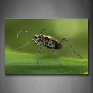 Insect With Green Feet Stay On Leaf Wall Art Painting The Picture Print On Canvas Animal Pictures For Home Decor Decoration Gift 