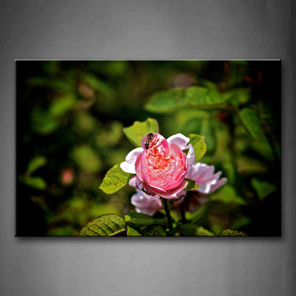 Bee Stop On Pink Flower With Leaves Wall Art Painting Pictures Print On Canvas Animal The Picture For Home Modern Decoration 