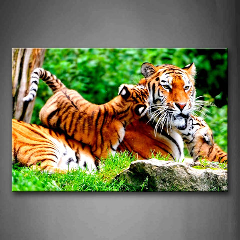 A Big Tiger Lie On Lawn With Baby Tiger Lie On It  Wall Art Painting Pictures Print On Canvas Animal The Picture For Home Modern Decoration 