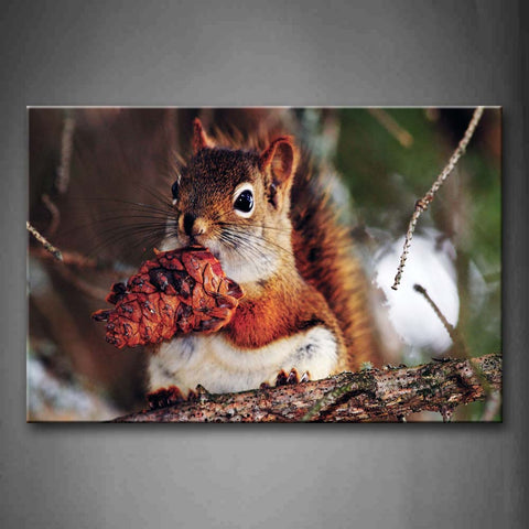 Squirrel Eat Pine Cone On Branch Wall Art Painting The Picture Print On Canvas Animal Pictures For Home Decor Decoration Gift 