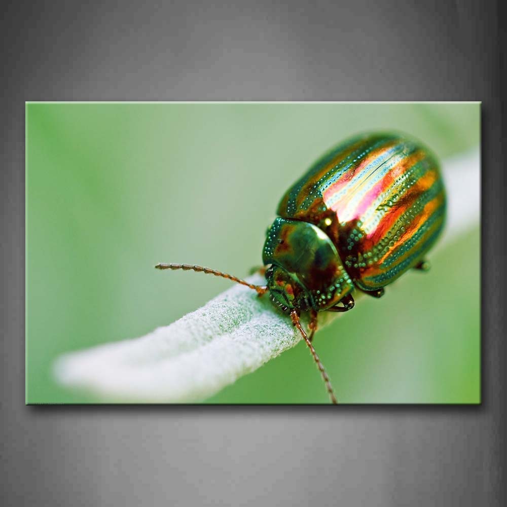 Green Beetle Stay At Leaf Wall Art Painting The Picture Print On Canvas Animal Pictures For Home Decor Decoration Gift 