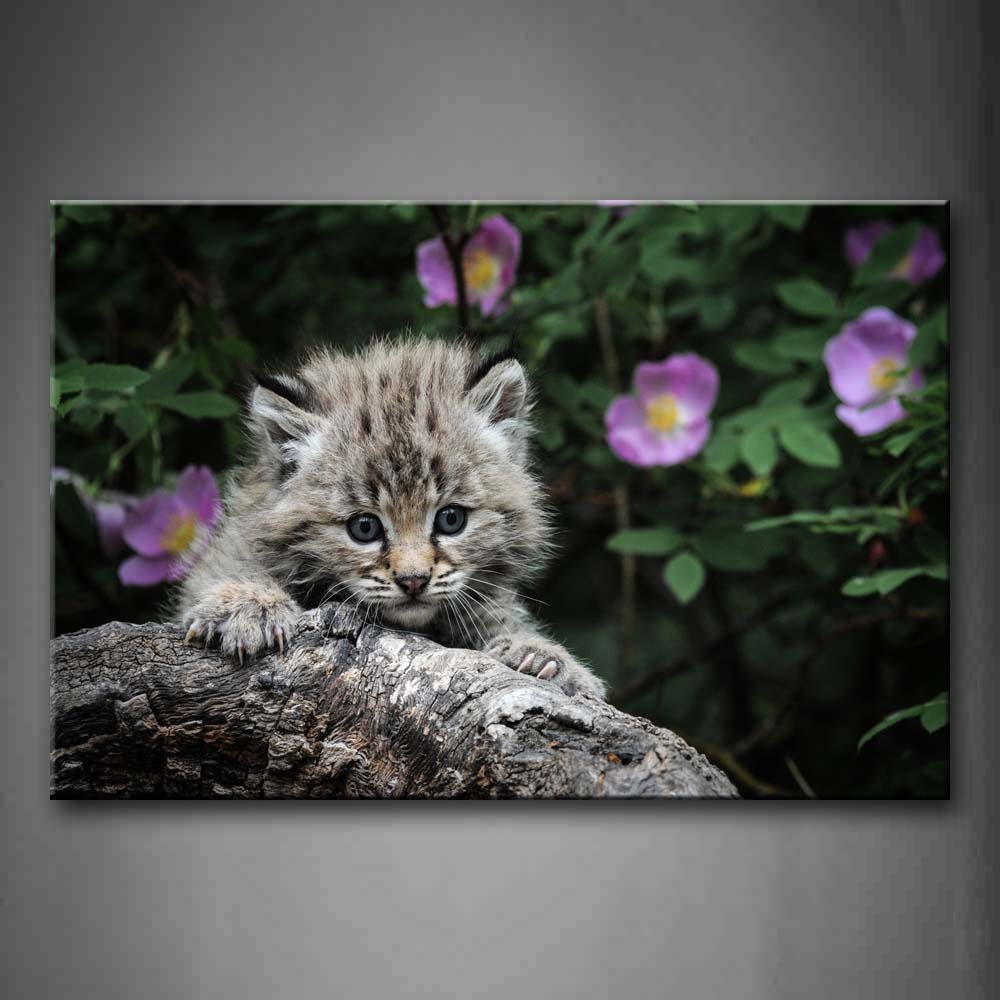 Cute Cat Lie On Dry Wood Near Flowers Wall Art Painting Pictures Print On Canvas Animal The Picture For Home Modern Decoration 