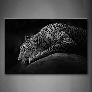 Black And White Leopard Lie On Stone  Wall Art Painting Pictures Print On Canvas Animal The Picture For Home Modern Decoration 