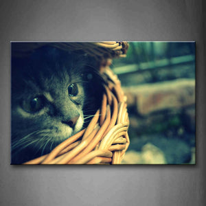 Black Cat Hide In Basket Wall Art Painting Pictures Print On Canvas Animal The Picture For Home Modern Decoration 