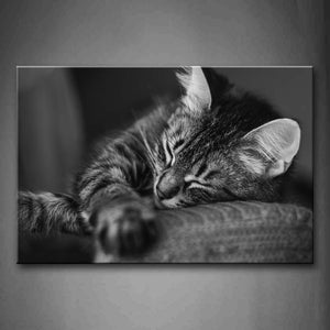 Black And White Gray Cat Sleep On Sofa Wall Art Painting The Picture Print On Canvas Animal Pictures For Home Decor Decoration Gift 