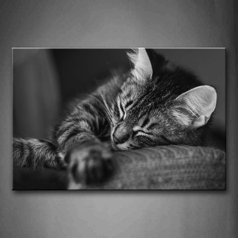 Black And White Gray Cat Sleep On Sofa Wall Art Painting The Picture Print On Canvas Animal Pictures For Home Decor Decoration Gift 