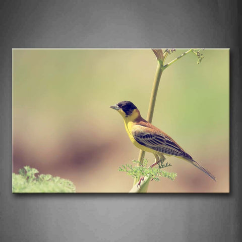 Yellow Bird Stand On Branch  Wall Art Painting The Picture Print On Canvas Animal Pictures For Home Decor Decoration Gift 