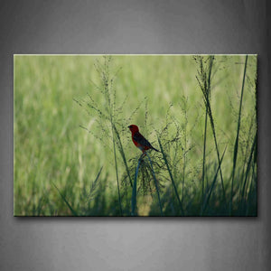 Red Bird Stand On Branch Wall Art Painting The Picture Print On Canvas Animal Pictures For Home Decor Decoration Gift 