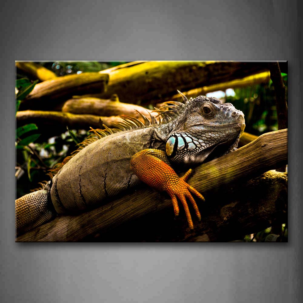 Iguana Stay On Trunk   Wall Art Painting Pictures Print On Canvas Animal The Picture For Home Modern Decoration 